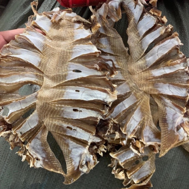 Khô cá ghim(cá đuối nhỏ)Phan Thiết nhà làm loại ngon 500g - Shop Khô Phan Thiết