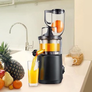 Máy ép chậm, ép trái cây, hoa quả, Gesun miệng rộng  model G500 bảo hành 24 tháng