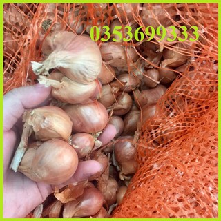 [Sẵn HCM] 500g Hành ta khô Kinh Môn củ to đều để được lâu