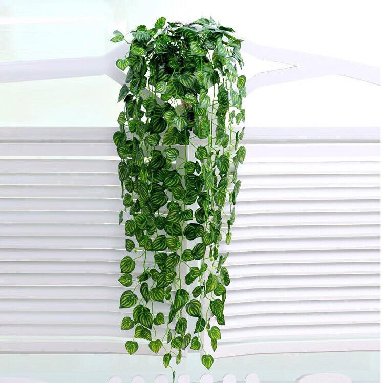 Chùm Lá Trầu Bà Dài 90cm, Dây Leo Trang Trí Nhà Cửa, Sân Vườn, Quán Cafe JK-09