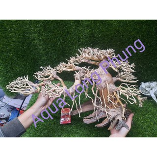 Lũa Bonsai hồ cá dáng Nghiên  N60cm,C30cm.