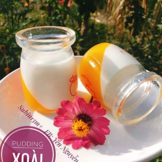 Bột Pudding hữu cơ RUF