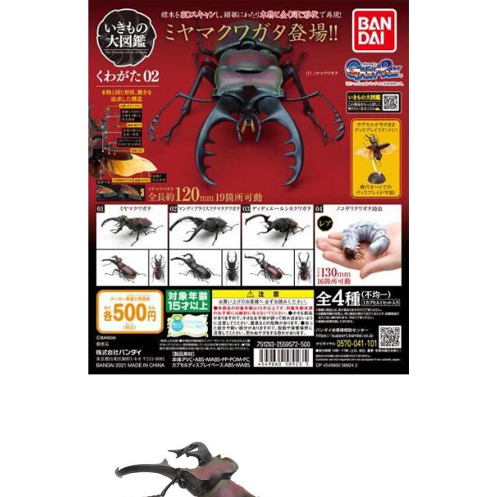 Mô Hình Côn Trùng Sinh Học Bandai Gashapon 02