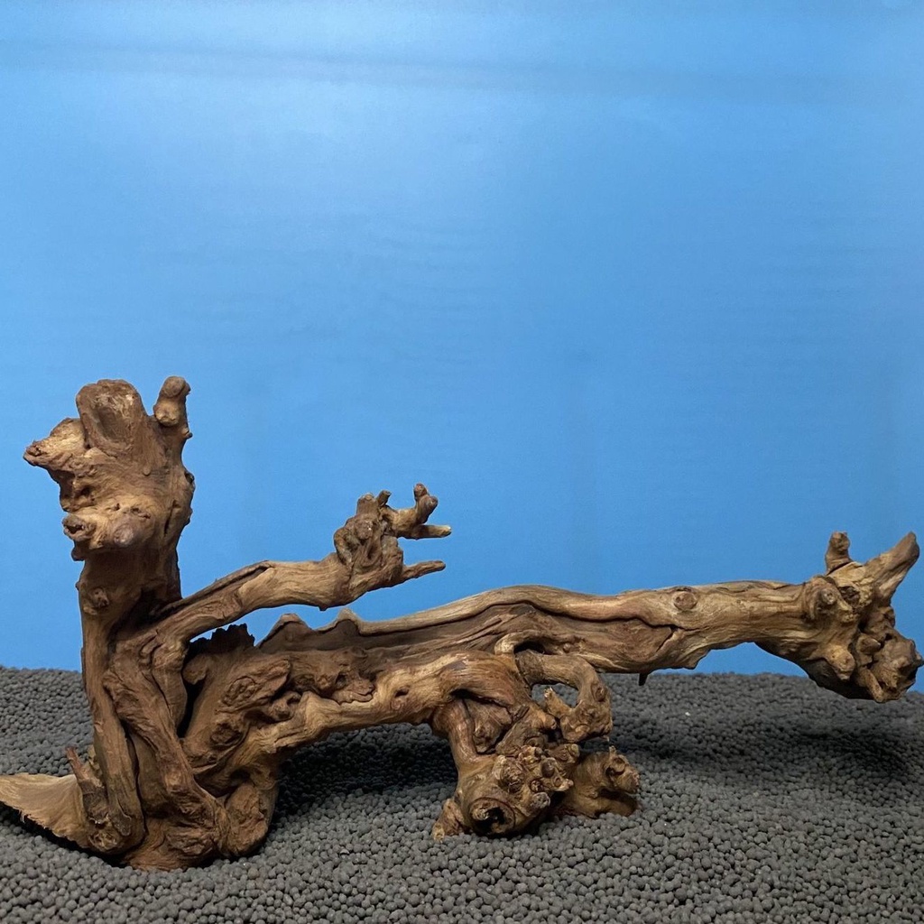 Gỗ ngập nước trang trí cảnh quan bể cá và bể cá và chọn cảnh quan awood rễ cây đỗ quyên màu tím Bưởi