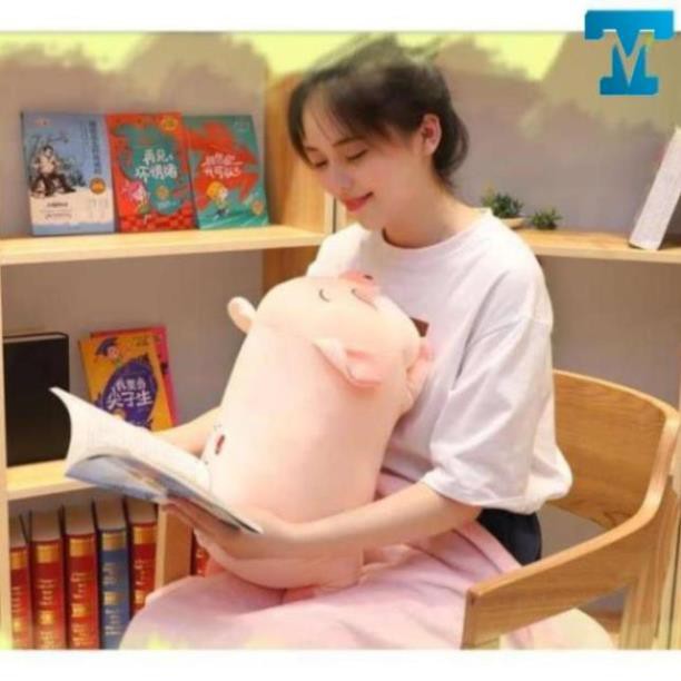 Bộ Chăn Gối Hình Chú Lợn Ỉn, Chú Mèo, Chú Cún, Chú Chuột 2 Trong 1 Ngủ Trưa Văn Phòng