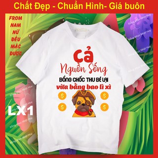 Áo tết LX1,Chất đẹp, đủ size, đủ mẫu, áo gia đình chơi tết, lixi lì xì, áo tết 2021,chúc mừng năm mới,cung chúc tân xuân