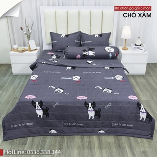 Chăn hè ga gối set 5 món Poly cotton (Được chọn mẫu)