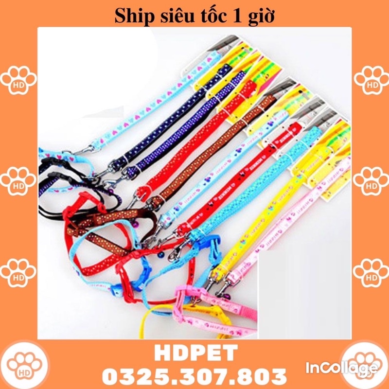 Dây Dắt Kèm Vòng Cổ Chuông Nhiều Màu Sắc Cho Chó Mèo