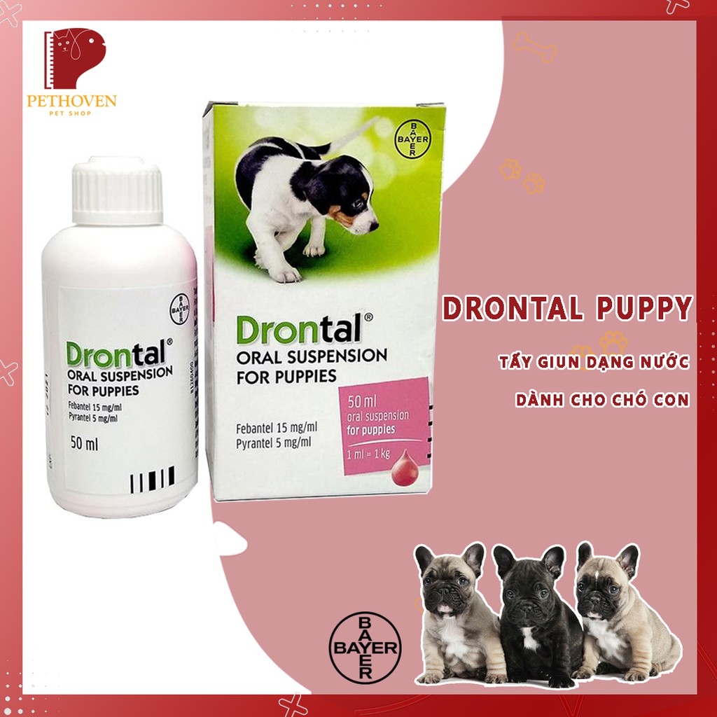 DRONTAL - Tẩy giun dạng nước dành cho chó con