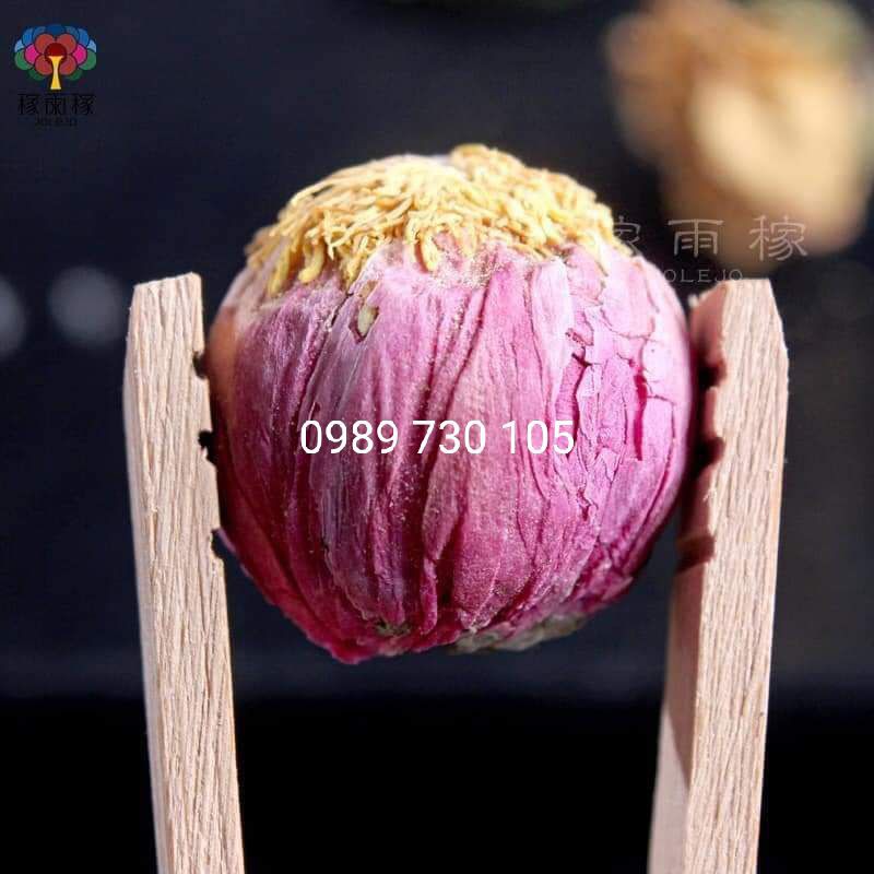 TRÀ HOA PHỔ NHĨ 1KG TRÀ TAN HOA NỞ ĐẬM ĐÀ