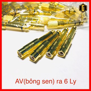 Jack chuyển đổi tín hiệu cổng AV / hoa sen ra 6 ly (6.3mm) - jack AV ra 6 ly