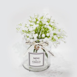 Lọ hoa thủy tinh mini trang trí 11cm - Jassi Decor
