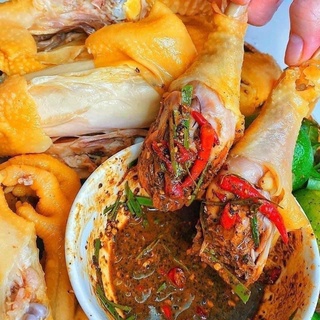 [PHÚ NHUẬN] GÀ Ủ MUỐI NỮA CON