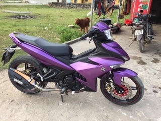 Sơn samurai combo màu tím ánh kim 1142