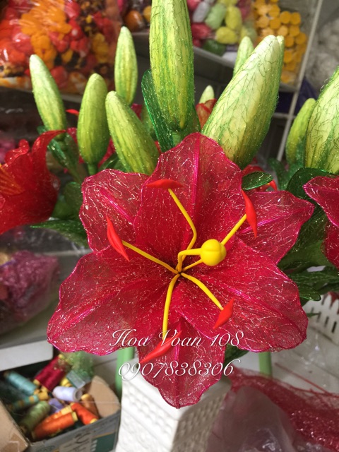 Lily bộ đất sét