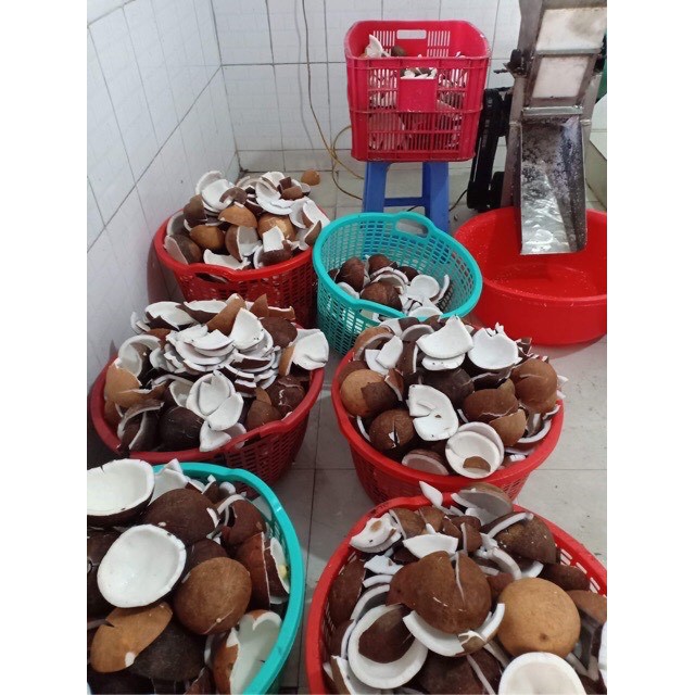 TINH DẦU DỪA BẾN TRE NGUYÊN CHẤT ÉP LẠNH KHÔNG MÙI 50ML