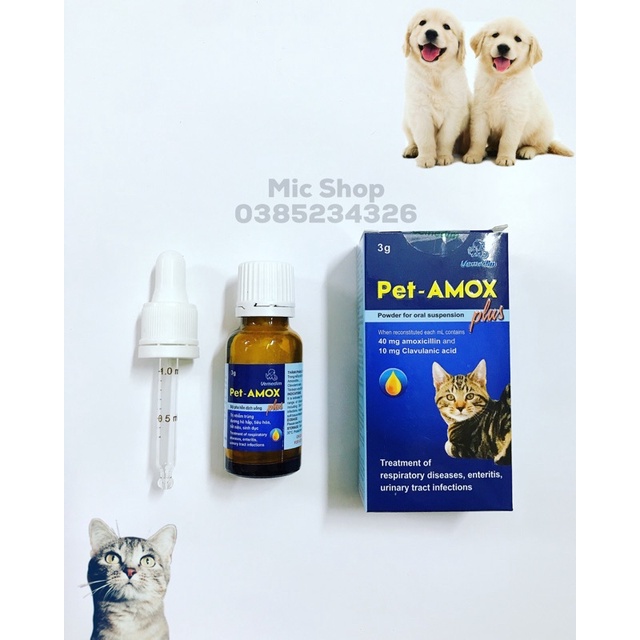 Dung dịch uống pet amox giảm tiêu chảy, hô hấp, hỗ trợ giảm ho cho chó mèo