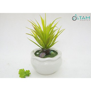 Chậu sen đá giả để bàn số 86 TAN