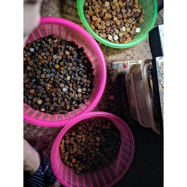 Chamr sen mix vòng trầm.hương giá rẻ