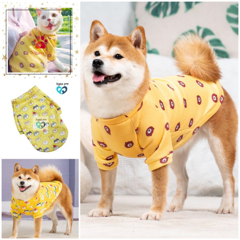 Quần áo cho chó mèo thu đông, Áo đẹp cho poodle, Thời trang chó mèo thú cưng hoạ tiết nhiều màu sắc size XS - 2XL