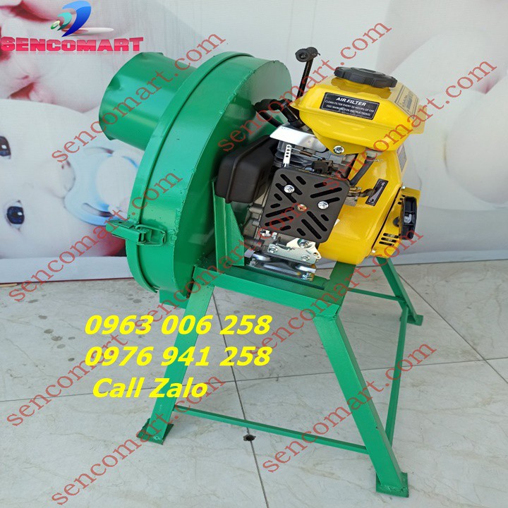 Máy Băm Chuối Mịn Chạy Xăng 170F 5HP - Máy Thái Chuối Siêu Mịn 5HP Thái Nhanh Cây Chuối To Chỉ Trong Vòng 40s