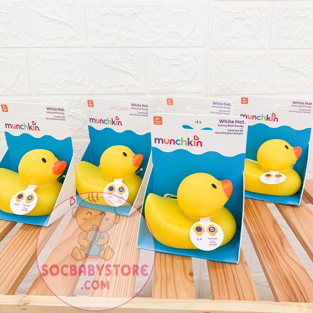 VỊT VÀNG BÁO NÓNG MUNCHKIN