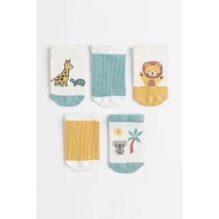 Set 5 đôi tất cổ ngắn bé trai HM