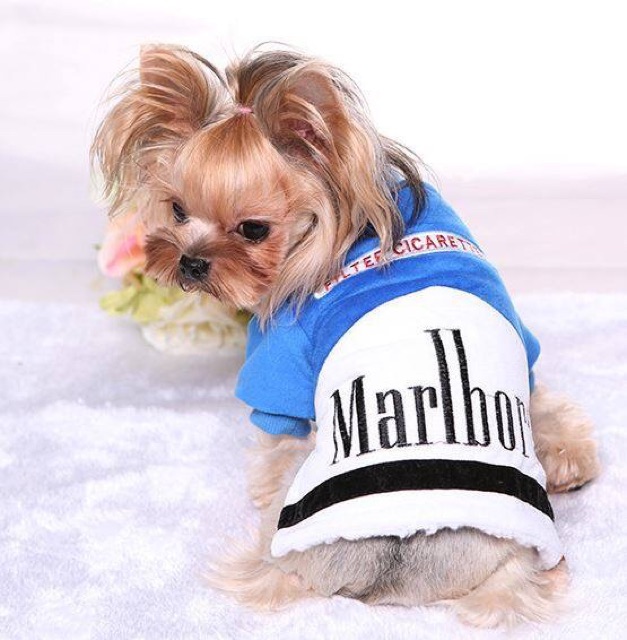 Áo pet nhung hiệu marlboro size 1-2kg