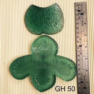 Gân hoa lan hài