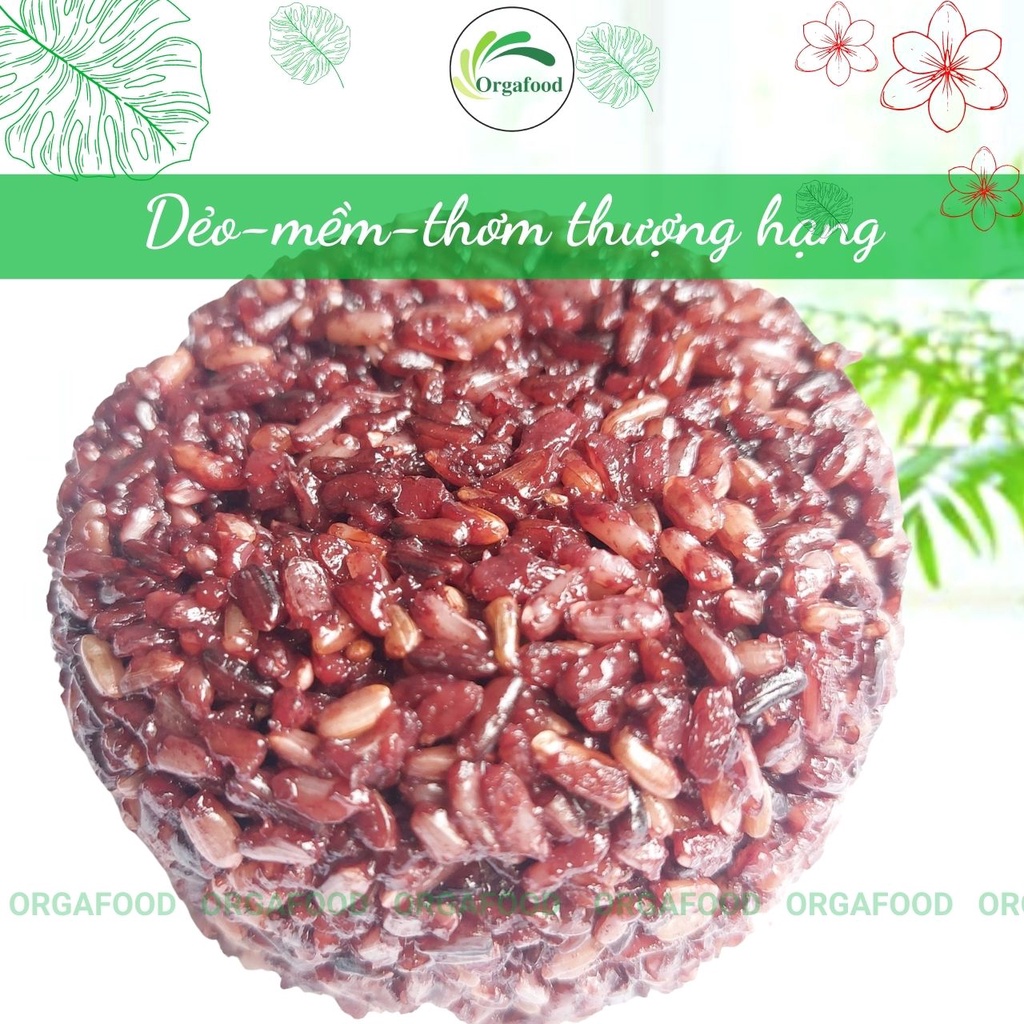 Gạo lứt dẻo Điện Biên tam sắc 1kg Orgafood (mix tím than/ nâu điện biên/ ST24) gạo lức ăn kiêng giảm cân, không cần ngâm