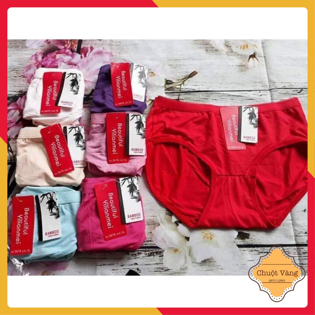 10 quần lót cotton cho người béo 5678