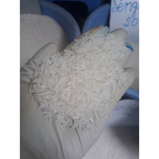 gạo thái kiến DKQ