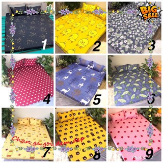 ⚡flash sale⚡ ga chun kèm vỏ gối poly cottong ⚡siêu rẻ⚡