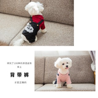 Quần áo Chó Nhỏ, Teddy, gấu, gấu, mèo, chó, bốn chân, quần áo, quần áo, quần áo, quần áo, quần áo, quần áo, quần áo, quầ