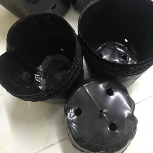 Bầu ươm size 16*14(200 cái/kg)