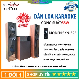 Loa bluetooth karaoke - dàn loa karaoke gia đình - loa để kệ tivi skynew skn-325 vân gỗ - công suất 55w