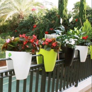 Chậu kẹp lan can loại to Chậu nhựa đẹp