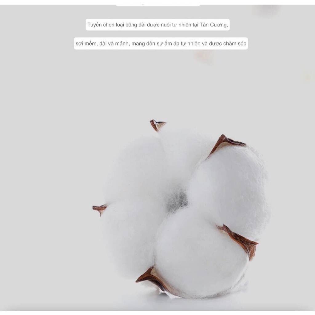 Sét 4 Quần Lót Bé Gái Tam Giác Chip Đùi Chất Cotton Mềm Mịn Họa Tiết Xinh Xắn, Dễ Thương - QL7