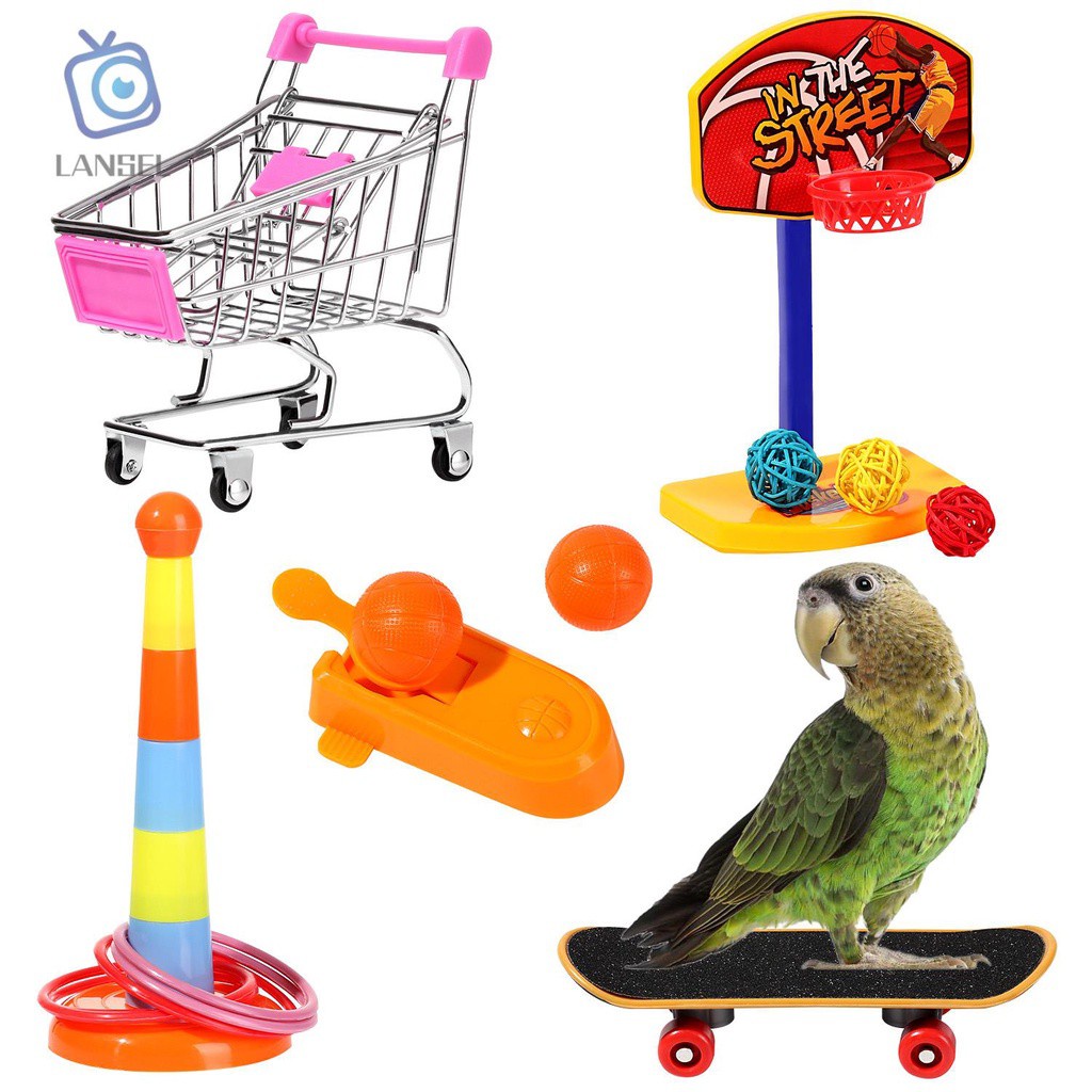 Set 4 Đồ Chơi Ván Trượt Mini Vui Nhộn Cho Vẹt
