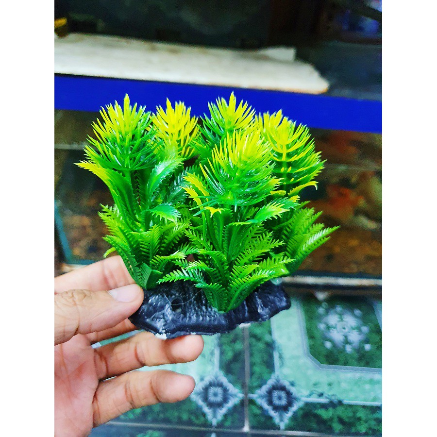 RONG TRANG TRÍ HỒ CÁ NON BỘ CAO 10CM