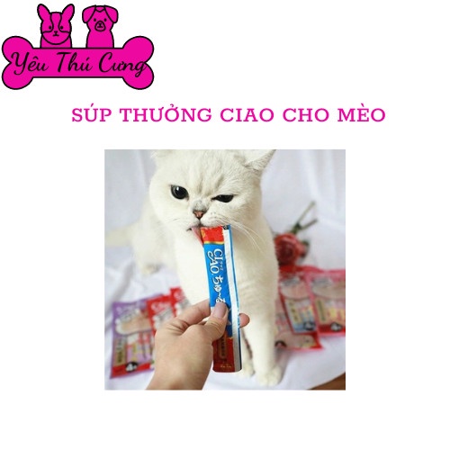 Súp thưởng dinh dưỡng cho mèo mọi lứa tuổi Ciao hộp 50 thanh - YÊU THÚ CƯNG