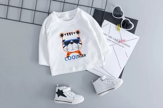 Set 3 chi tiết
