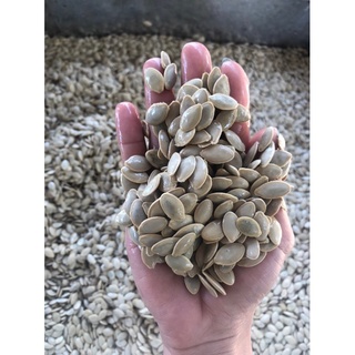 [ảnh thật] 1kg hạt bí rang muối