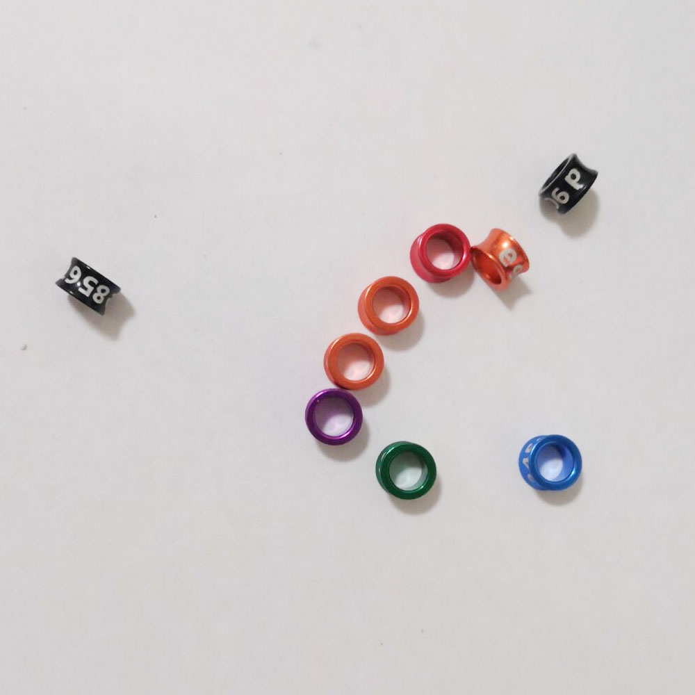 Bộ 20 Vòng Khuyên Gắn Chân Chim Kích Thước 3.3mm Đến 8mm