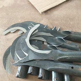 Cu liêm đực dừa