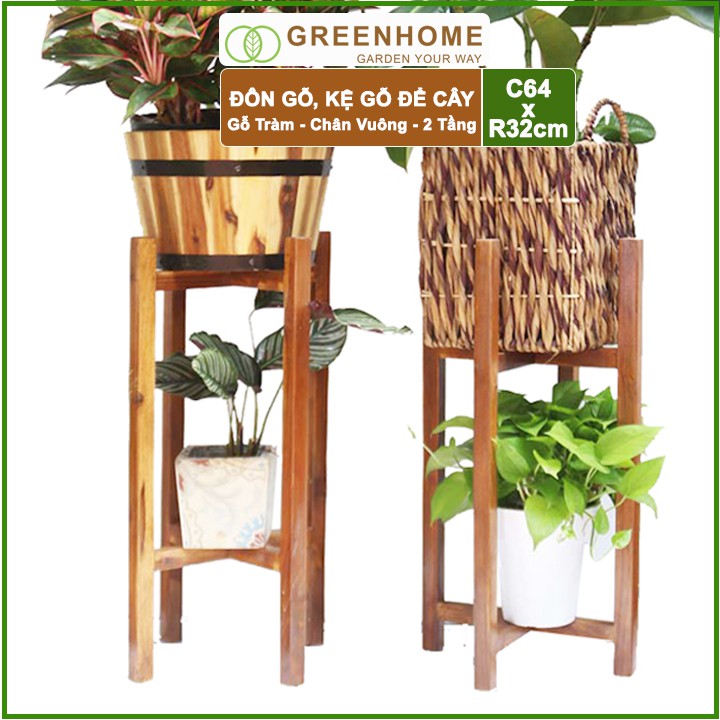 [FREESHIP 70K] Đôn gỗ, kệ kê chậu cây nội thất 2 tầng bằng gỗ Tràm C64x32cm 🎁Tặng kèm dĩa lót D27cm🎁 | BigBuy360 - bigbuy360.vn