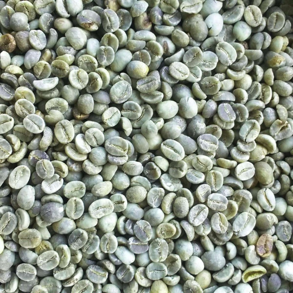 Cà phê nhân Arabica - 1kg - Light Coffee - Cà phê hạt nguyên chất hảo hạng