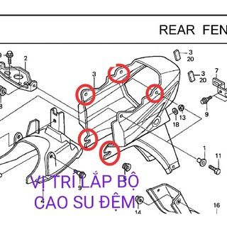 Bộ cao su đệm dàn áo xe Dream (10 gioăng)