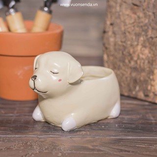 Chậu chó nâu (nhựa cứng) - Vườn sen đá