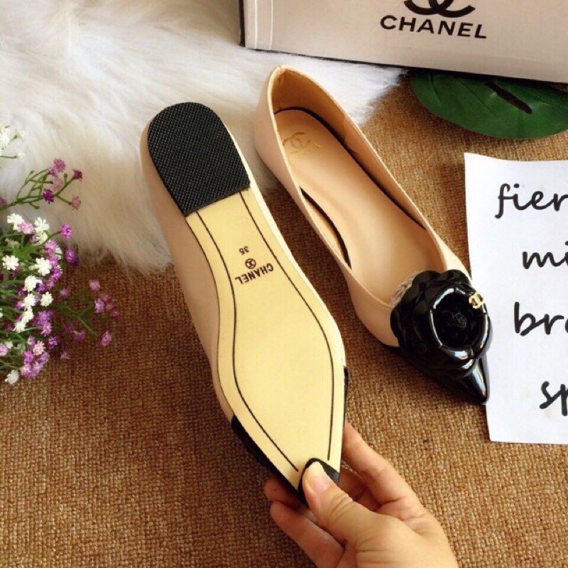 SALE OFF BÚP BÊ MŨI NHỌN HOA TRÀ